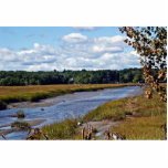 Scarborough Marsh (saltwater), Maine