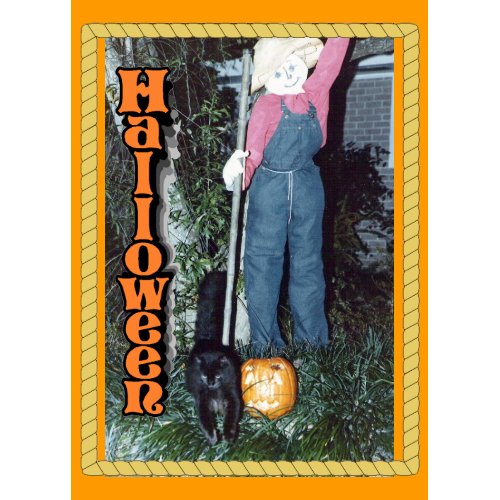 Scarecrow Black Cat Card card