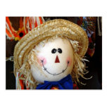 Scarecrow Face Postcards