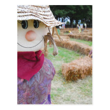 Scarecrow in a Pumpkin Patch Post Cards
