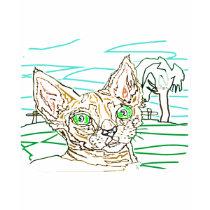 SCARED CAT t-shirts by FUNFASHIONETC SCARED CAT t-shirts