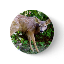 Scared little Deer Buttons