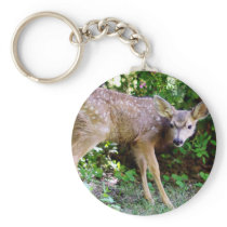 Scared little Deer Keychains