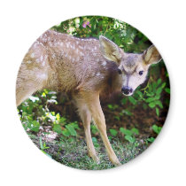 Scared little Deer Magnet