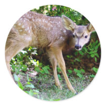Scared little Deer Stickers