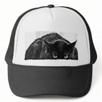 Scaredy Cat Hat