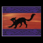 Scaredy Cat! postcards