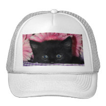 Scaredy Kitten Trucker Hats