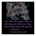 scarey cat, Cats Rule the night, sleep in the d... posters