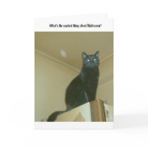 Scariest thing about Halloween cards by TheRomans Scariest thing about Halloween cards