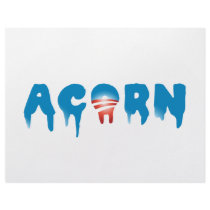Scaring ACORN letterhead