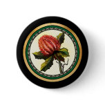 Scarlet Banksia buttons
