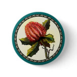Scarlet Banksia buttons