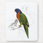 Scarlet-Collared Parrakeet by Edward Lear Mouse Mat