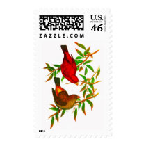 Scarlet Finch Stamps