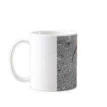 scarlet ibis coffee mugs
