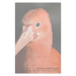 Scarlet Ibis • Personalized Stationery