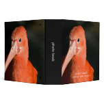 Scarlet Ibis • Photo Book Binder