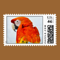 Scarlet Macau stamps