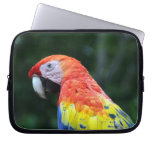 scarlet macaw face laptop sleeves