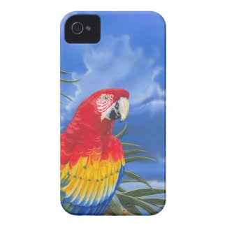 Scarlet Macaw iPhone 4/4S Case-Mate Barely There
