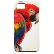 Scarlet Macaw iPhone 5 Covers