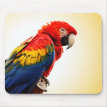 Scarlet Macaw Mousepads