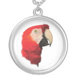scarlet macaw jewelry