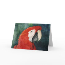 "Scarlet Macaw" Original Art Notecard by CharlottesWebArt "Scarlet Macaw" Original Art Notecard