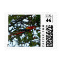 Scarlet Macaw postage
