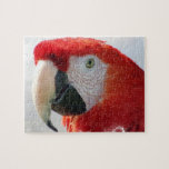 Scarlet Macaw Puzzle