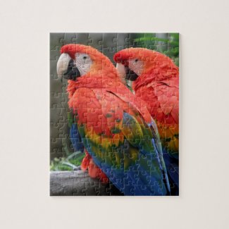Scarlet Macaw Puzzle