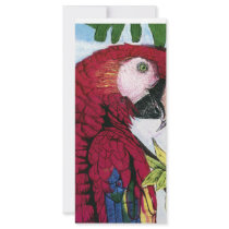 Scarlet Macaw rack cards