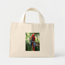 Scarlet macaw, red macaw photograp design canvas bags
