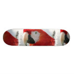 Scarlet Macaw Skateboard