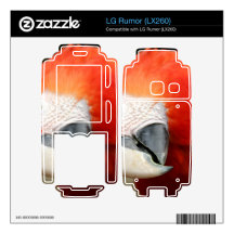 Scarlet Macaw Skin For The LG Rumor