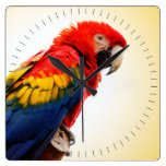 Scarlet Macaw Wall Clock