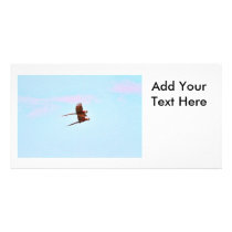 Scarlet Mackaw Couple Flying Personalized Photo Card