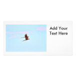 Scarlet Mackaw Couple Flying Personalized Photo Card
