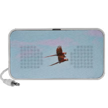 Scarlet Mackaw Couple Flying Speaker