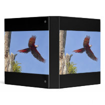 Scarlet Mackaw Flying Binder