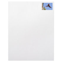 Scarlet Mackaw Flying Personalized Letterhead