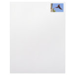 Scarlet Mackaw Flying Personalized Letterhead