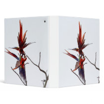 Scarlet Mackaws 3 Ring Binder