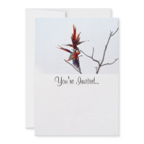Scarlet Mackaws Personalized Invitation