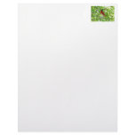 Scarlet Mackaws Picture letterhead