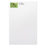 Scarlet Mackaws Picture stationery