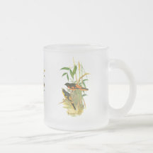 Scarlet Minivet Mugs