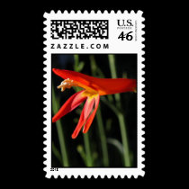 Scarlet Penstemon Postage stamps