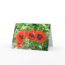 Scarlet Poppies in English garden/Greetings card by Bourach Scarlet Poppies in English garden/Greetings card